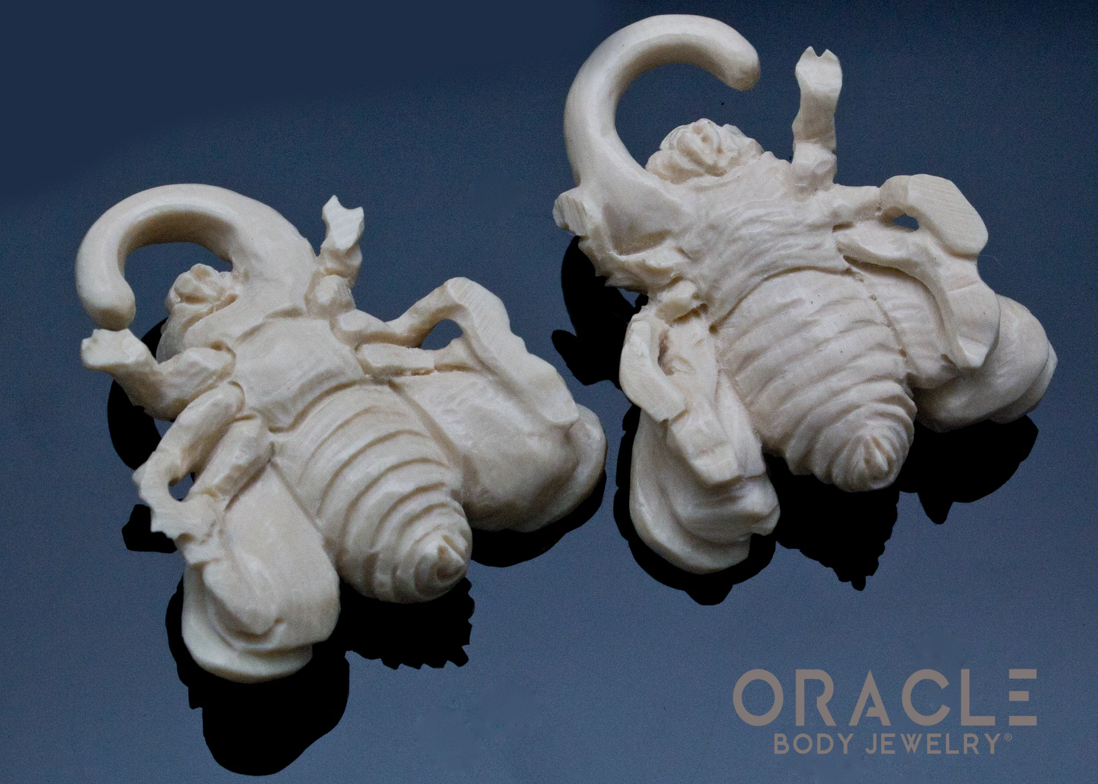 2g (6mm) Fossilized Mammoth Bees - Image 4