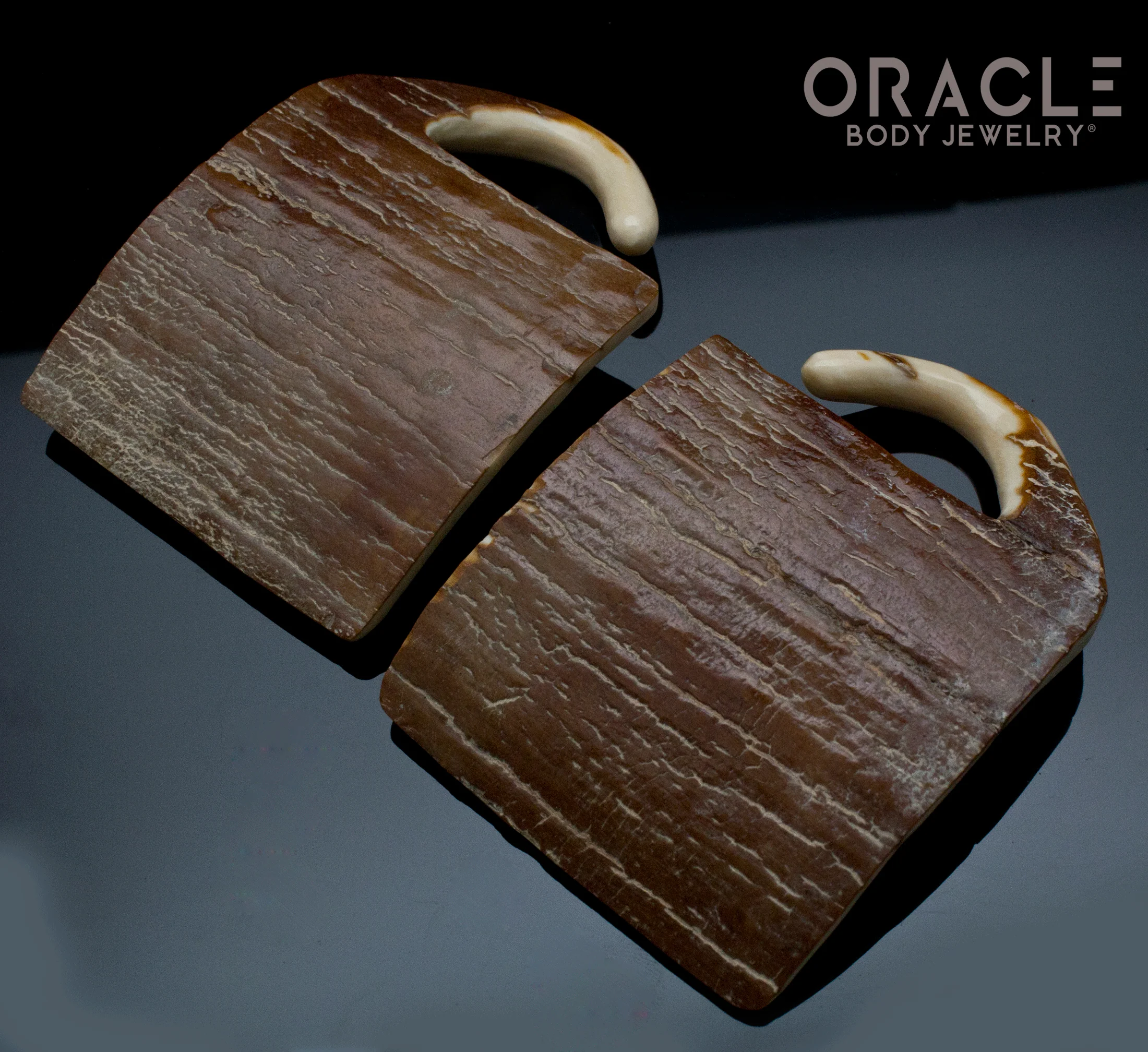 2g (6mm) Fossilized Mammoth Ivory Weapons Cache Box - Image 3