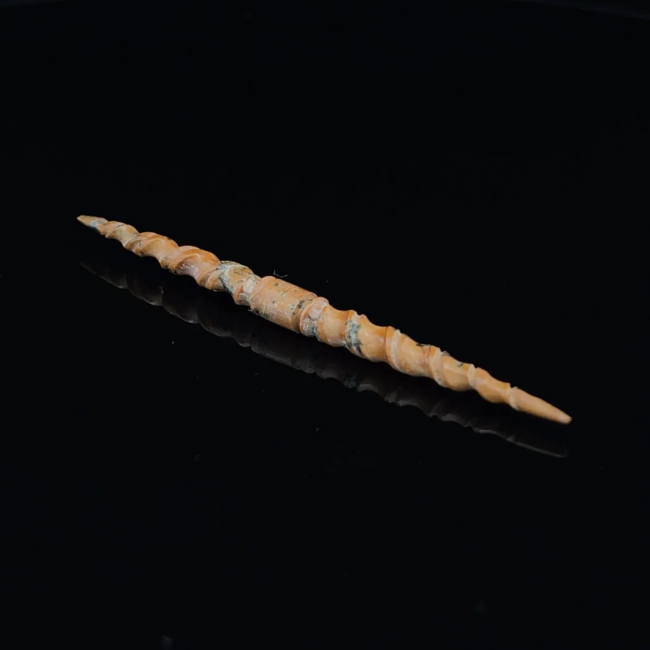 3.5mm Fossilized Mammoth Ivory Carved Septum Spike - Image 3