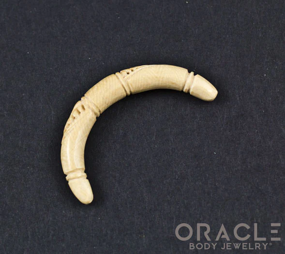 4g Fossilized Mammoth Ivory Carved Septum Tusk - Image 2