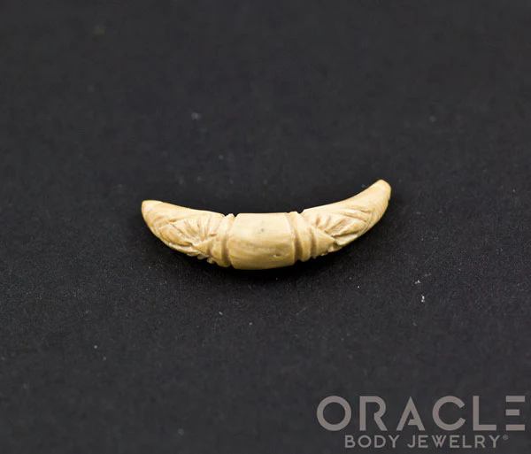 4g Fossilized Mammoth Ivory Septum Tusk - Image 3