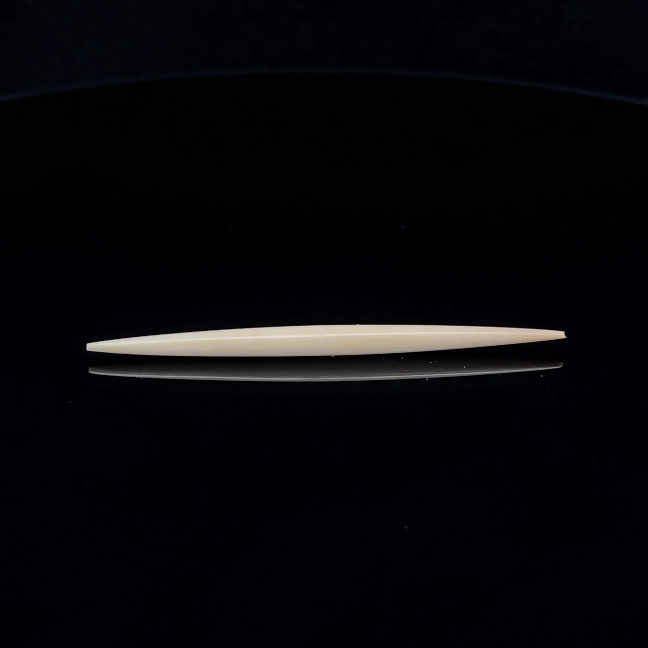 8g (3mm) Fossilized Mammoth Ivory Septum Spike