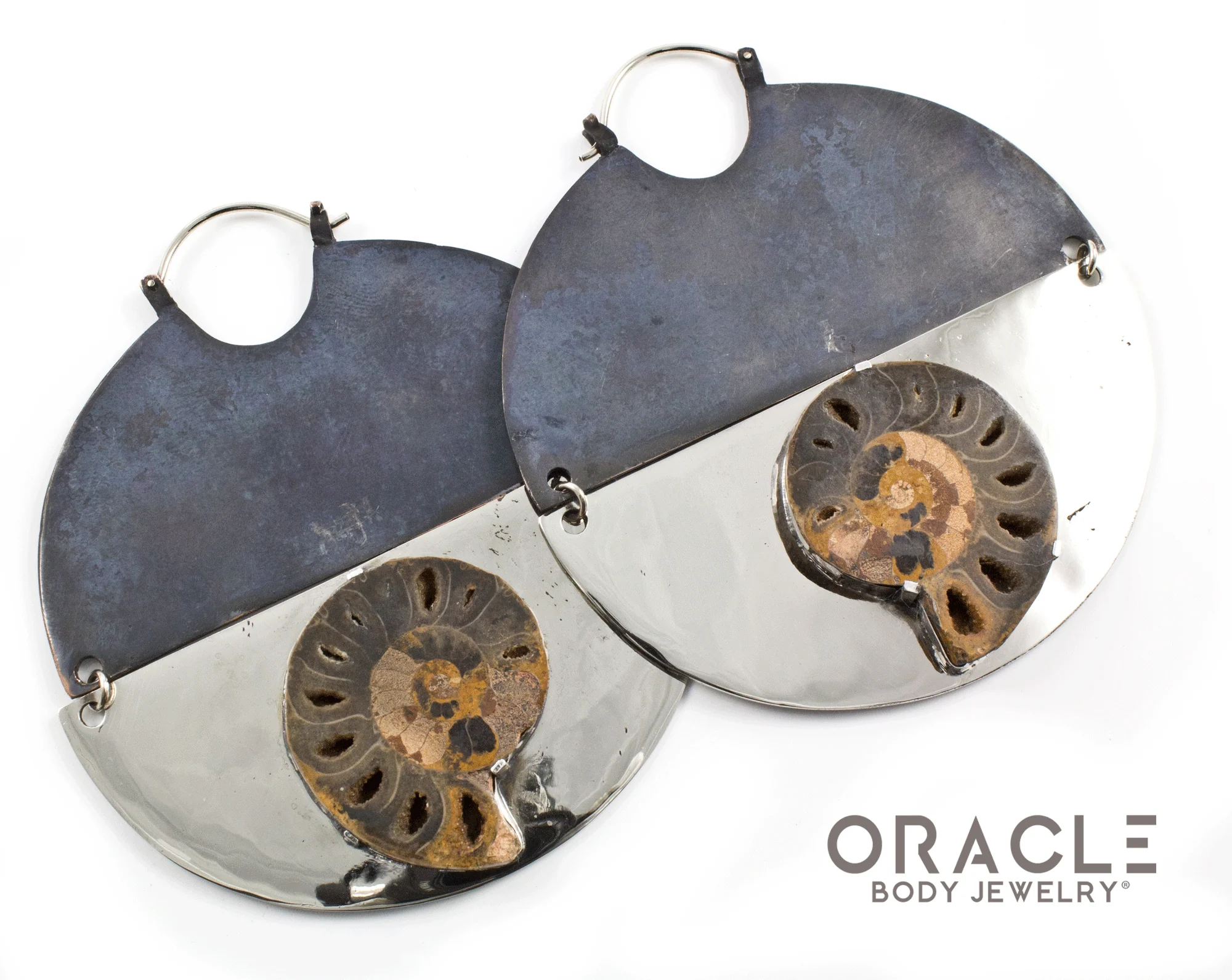 C.R.E.A.M with Ammonites - Image 2