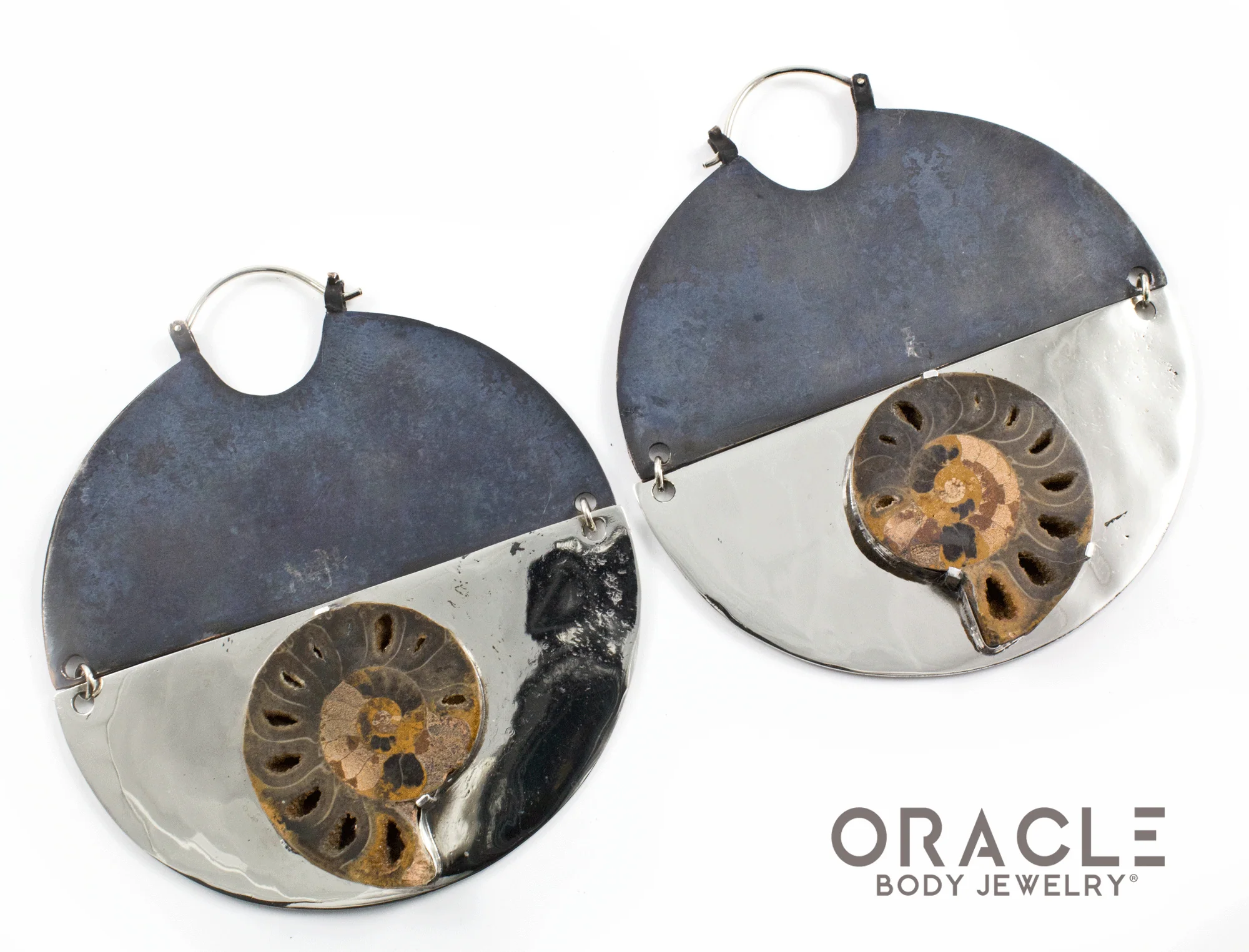 C.R.E.A.M with Ammonites - Image 3