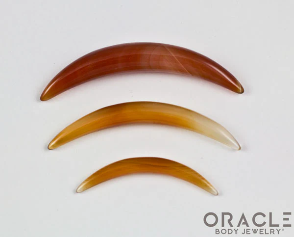 Carnelian Septum Tusk - Image 2