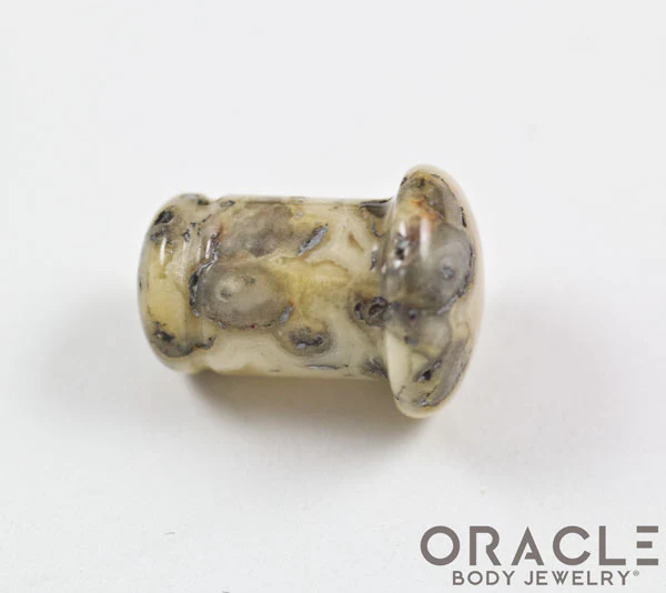 Crazy Lace Agate Single Flare Plugs - Image 3
