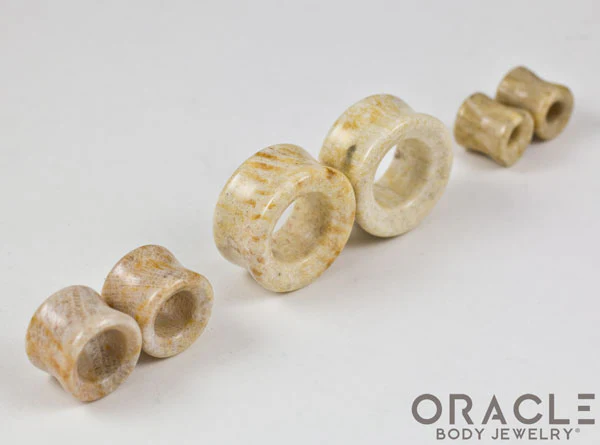 Fossilized Coral Eyelets / Tunnels - Image 2