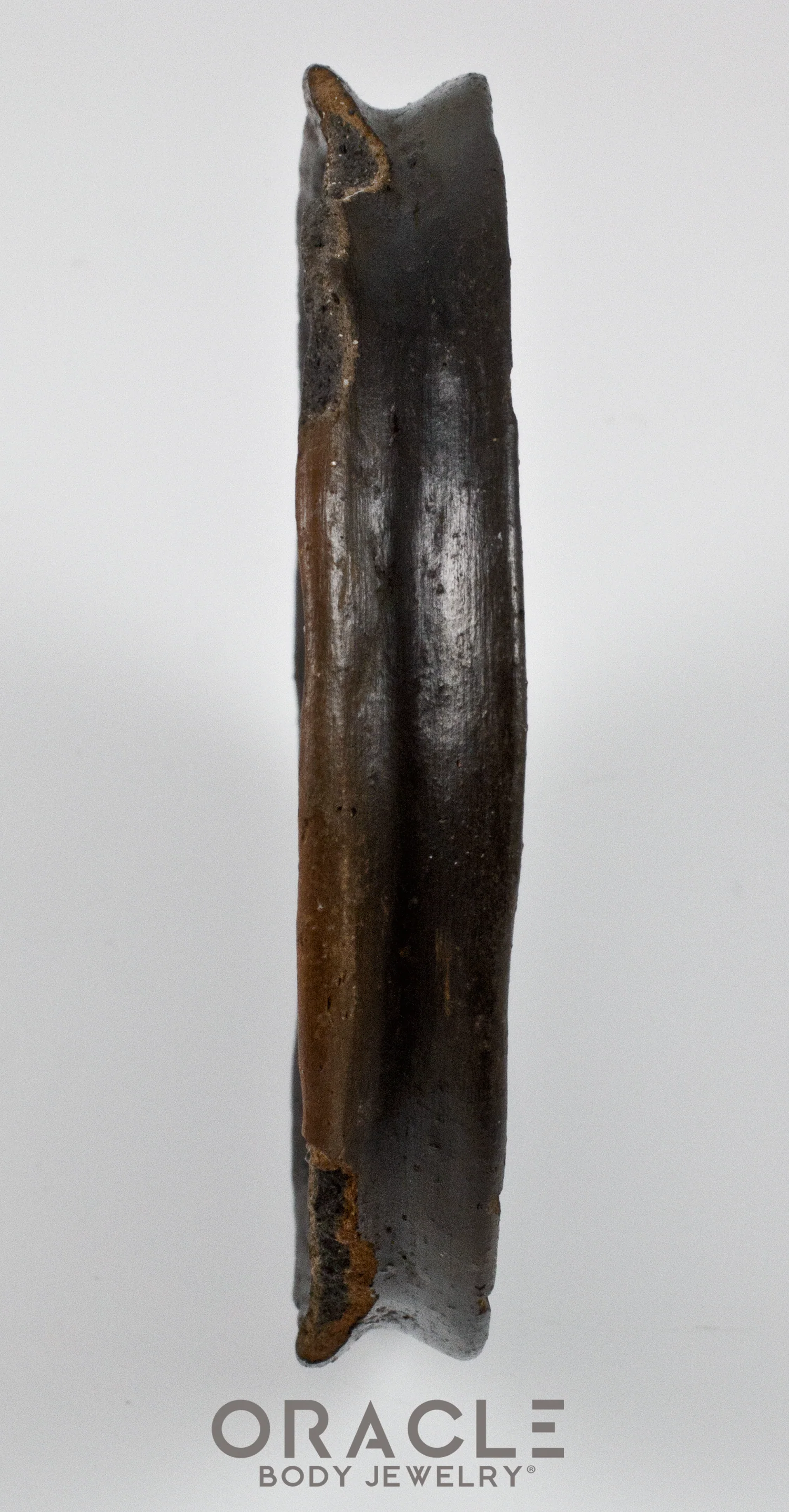 Mursi Clay Lip Plate - Image 2