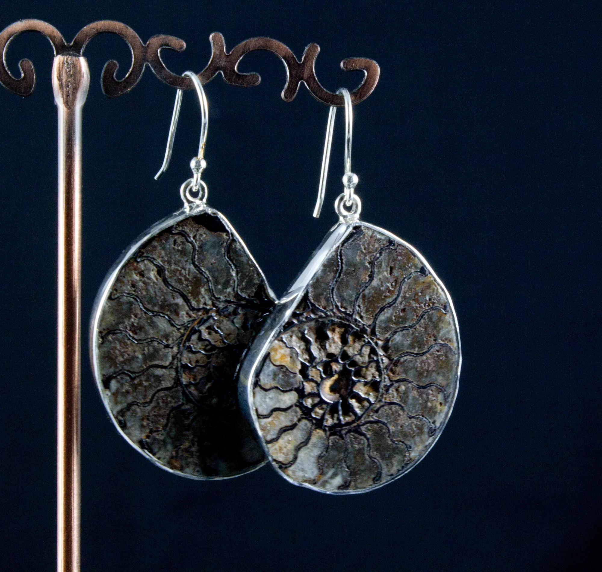 Sterling Silver Ammonite Earrings - Image 2