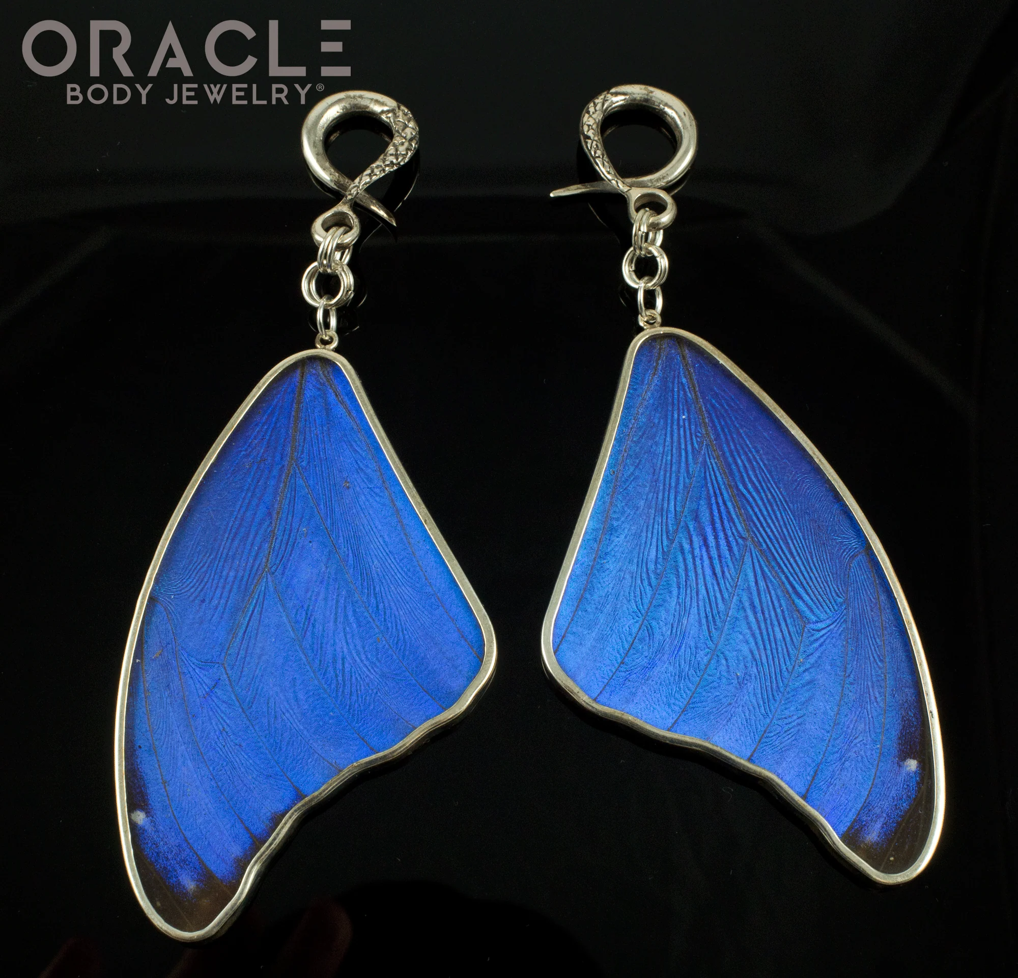 Sterling Silver Crossover With Natural Blue Morpho Butterfly Wings - Image 2
