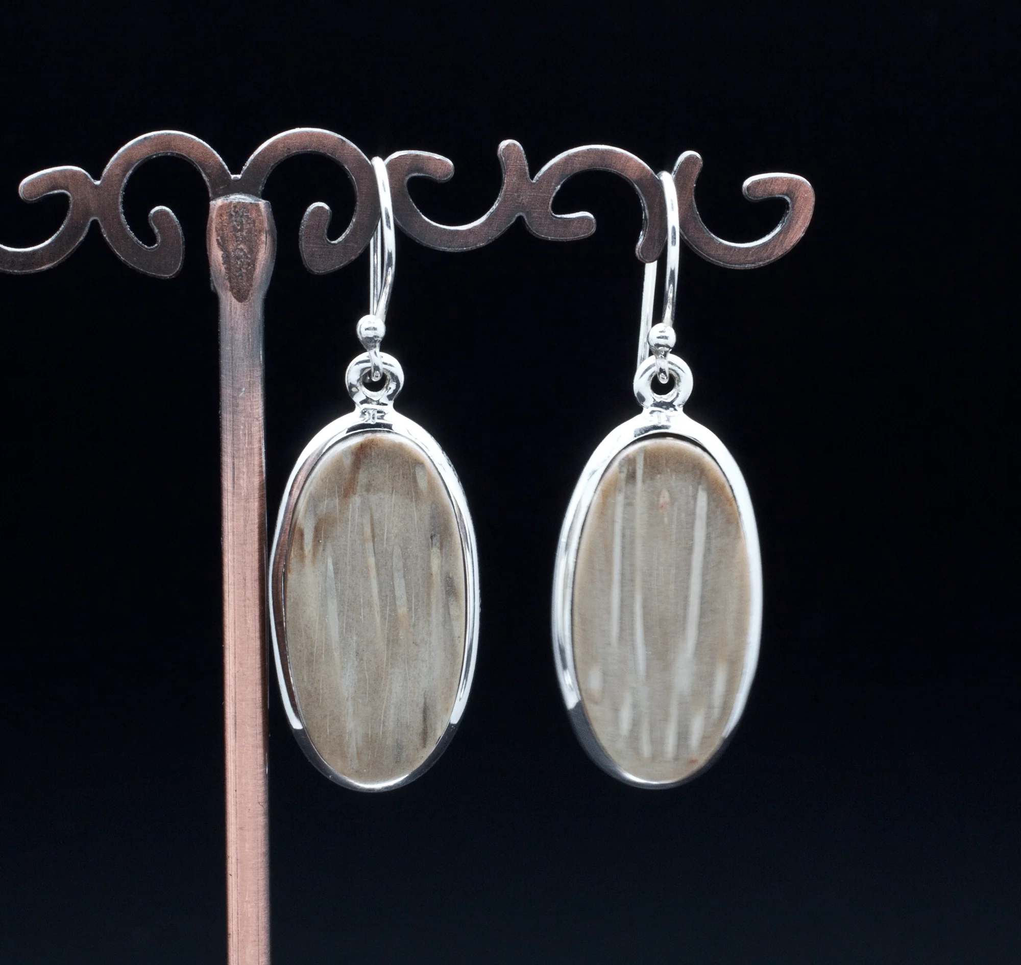 Sterling Silver Petrified Palm Wood Earrings