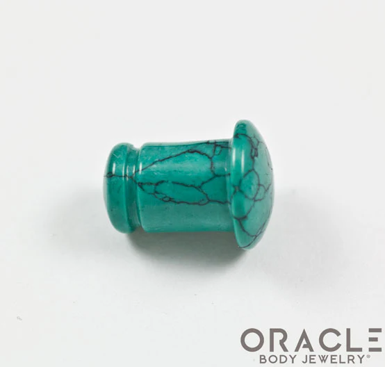 Synthetic Green Spiderweb Turquoise Single Flare Plugs - Image 3
